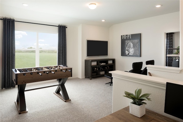 recreation room featuring carpet floors