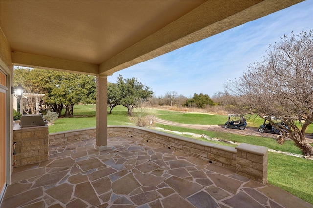 view of patio / terrace with area for grilling