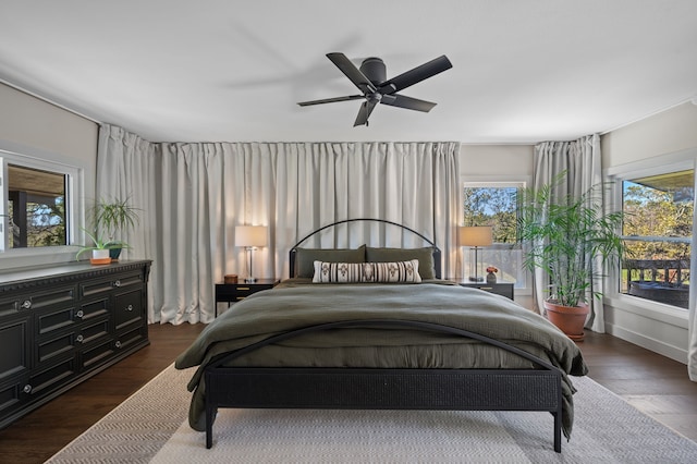 bedroom with ceiling fan, dark wood-type flooring, and multiple windows