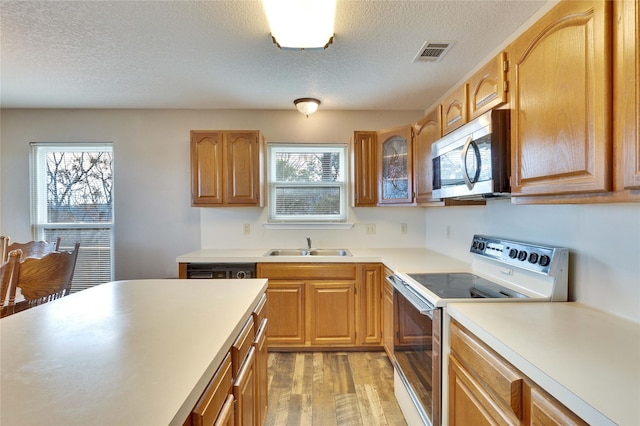 kitchen with sink, light wood-type flooring, range with electric stovetop, and a wealth of natural light