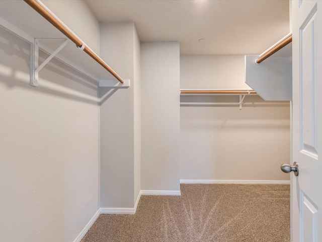 spacious closet with carpet