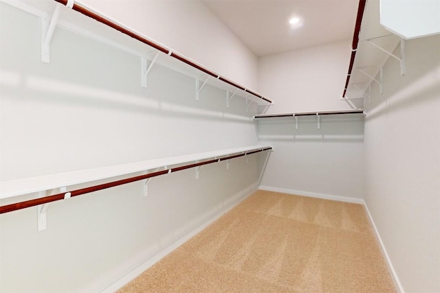 spacious closet featuring carpet flooring