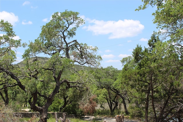 Listing photo 2 for 7 La Quinta St, Wimberley TX 78676