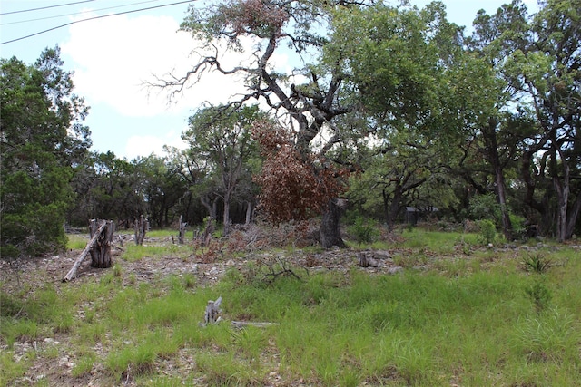 Listing photo 3 for 7 La Quinta St, Wimberley TX 78676