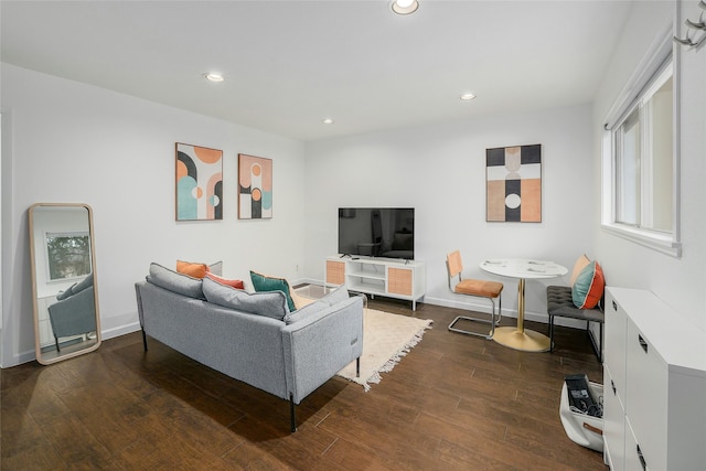 living room featuring dark hardwood / wood-style flooring