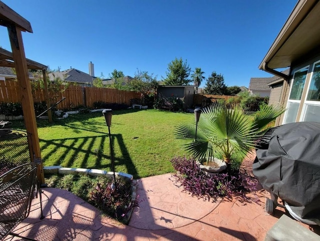 view of yard with a patio area, a fenced backyard, and an outdoor structure