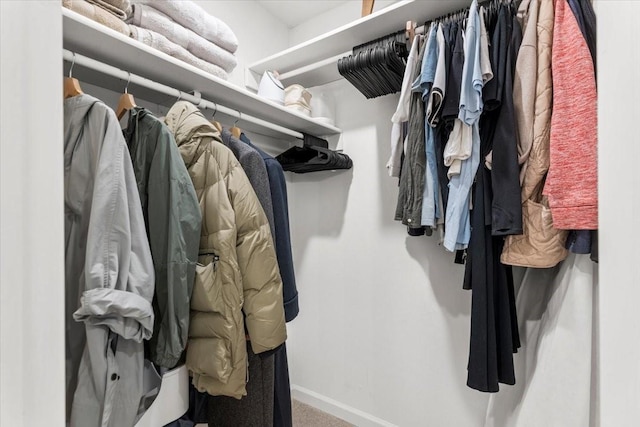 walk in closet with carpet flooring