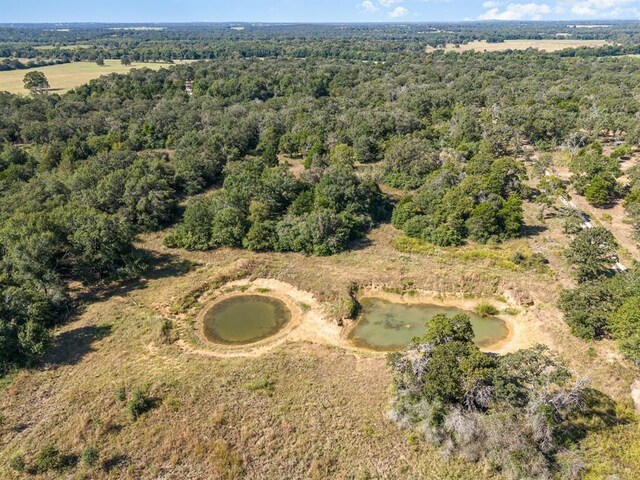 10229 County Road 302, Rockdale, TX 76567 - photo 8