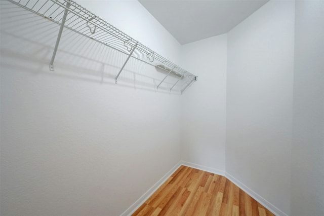 spacious closet featuring wood-type flooring