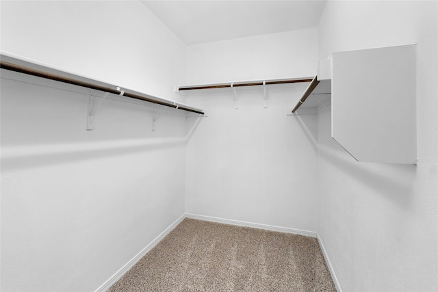 walk in closet with light colored carpet