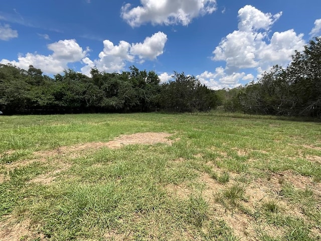 view of yard featuring a rural view