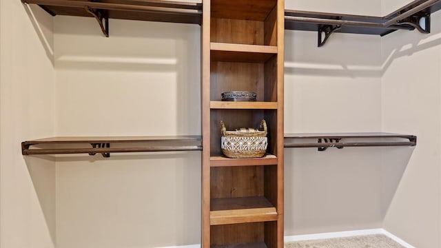 spacious closet with carpet