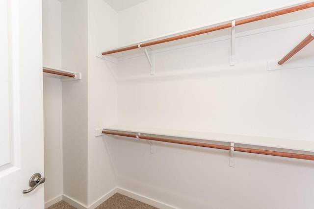 spacious closet with carpet flooring