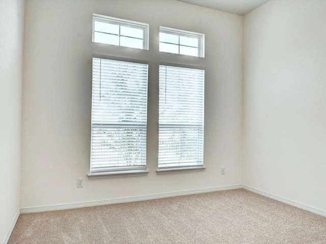 spare room featuring light carpet