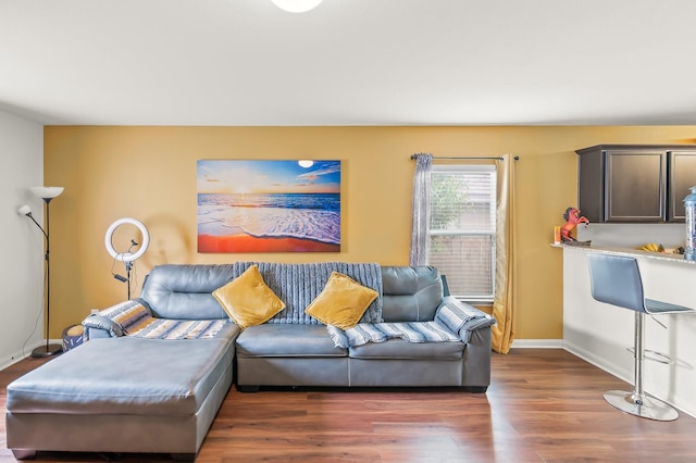 living room featuring dark hardwood / wood-style flooring