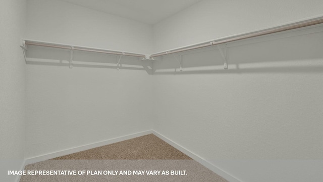 walk in closet featuring carpet flooring