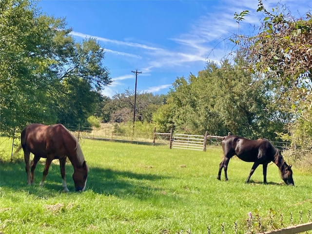 view of home's community with a rural view and a yard