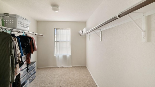 walk in closet featuring light colored carpet