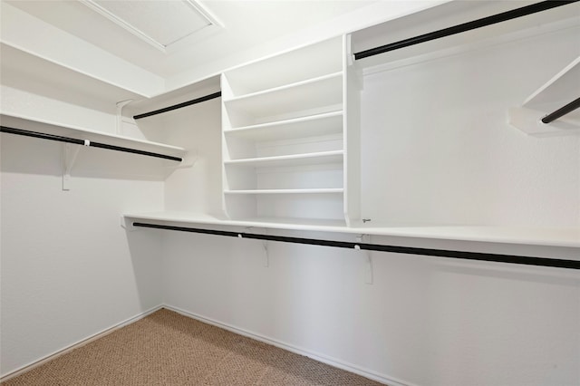 walk in closet featuring light colored carpet