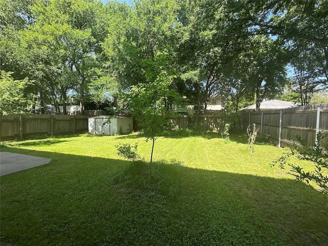view of yard featuring a storage unit and an outdoor structure