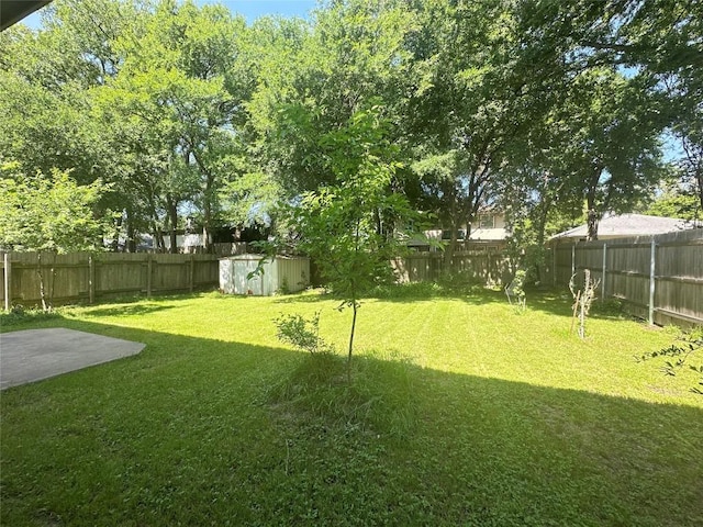 9504 Sanford Dr, Austin, TX 78748 - fenced backyard featuring a shed and a patio