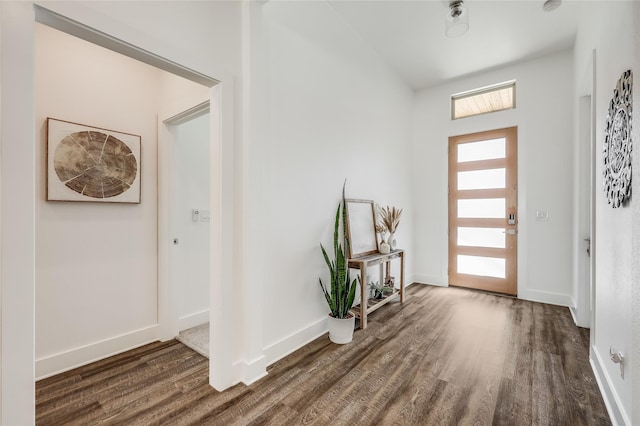 foyer entrance featuring dark hardwood / wood-style flooring