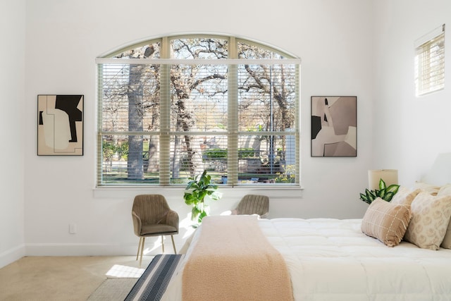 bedroom featuring carpet