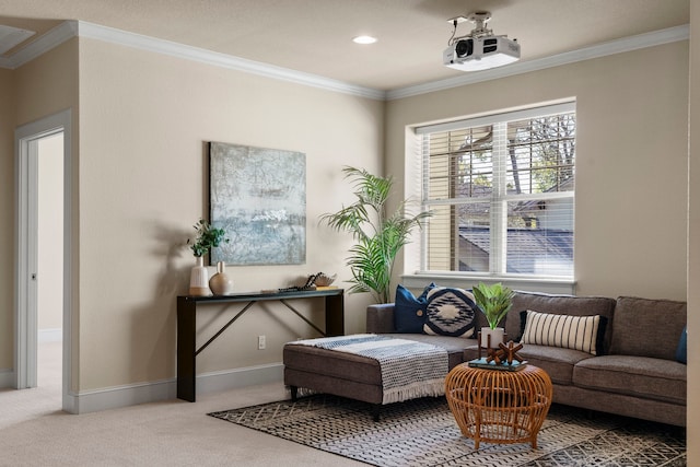 sitting room featuring carpet and crown molding