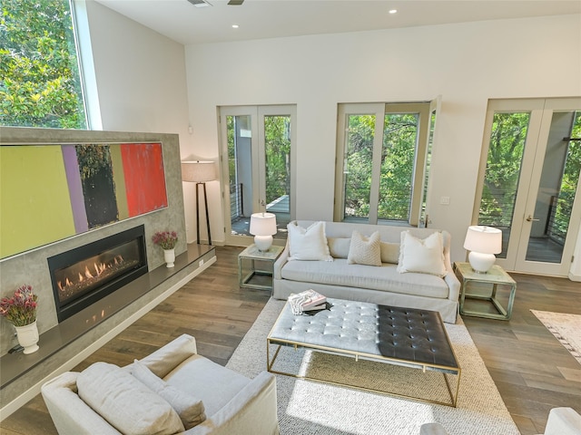 living room featuring dark hardwood / wood-style floors, french doors, and a fireplace