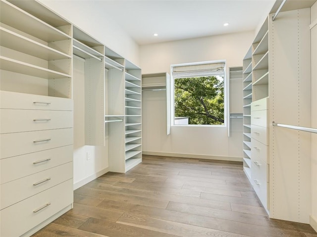 walk in closet with wood finished floors