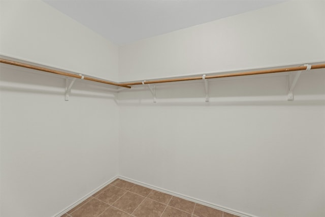12206 Athens St, Manor, TX 78653 - view of spacious closet