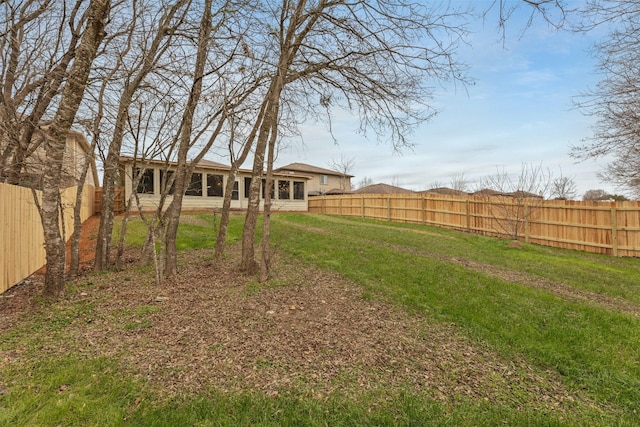 12206 Athens St, Manor, TX 78653 - view of yard