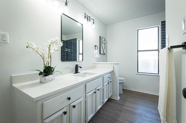 bathroom featuring hardwood / wood-style floors, toilet, and vanity