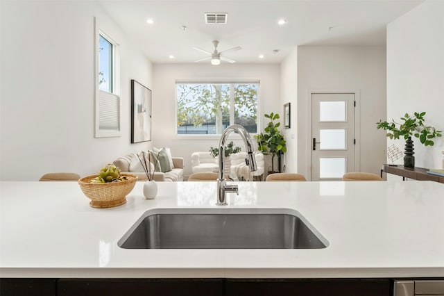 kitchen featuring sink and ceiling fan