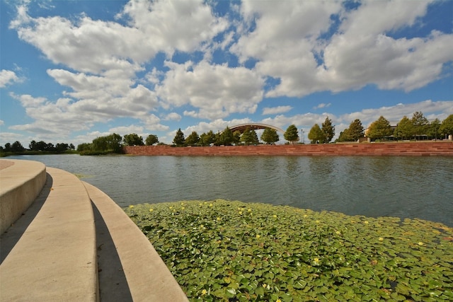 property view of water