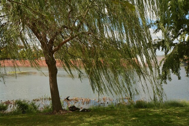 view of water feature