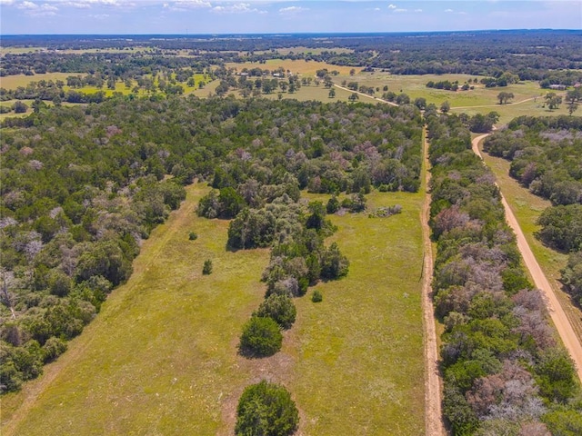 000 Charles Burnes Ln, Rosanky TX, 78953 land for sale