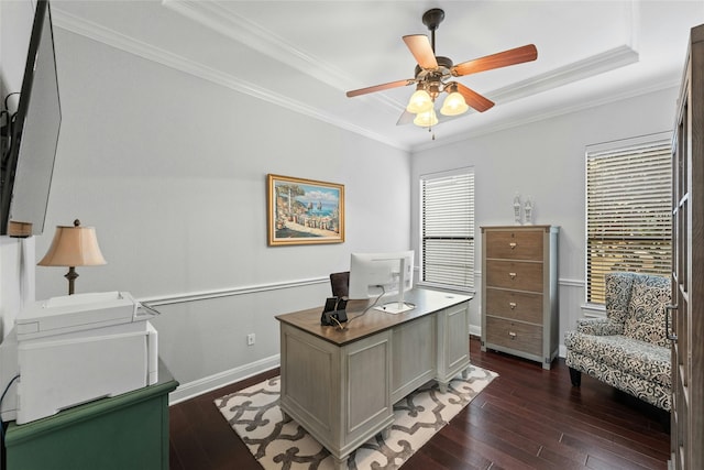 home office featuring ceiling fan, a raised ceiling, crown molding, and dark hardwood / wood-style floors