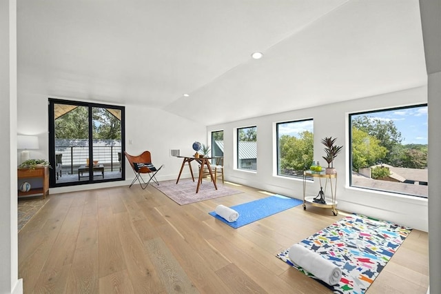 exercise room featuring light hardwood / wood-style floors and lofted ceiling