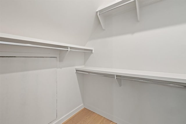 spacious closet featuring light wood-type flooring