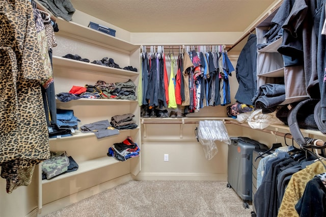 walk in closet featuring light carpet