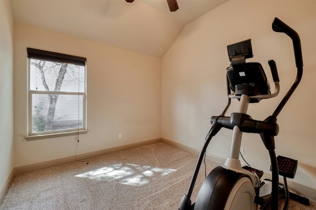 workout room with ceiling fan, plenty of natural light, carpet flooring, and lofted ceiling