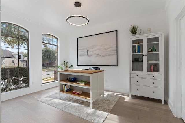 interior space with wood-type flooring and ornamental molding