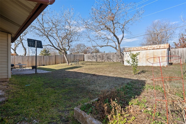 view of yard featuring a patio area