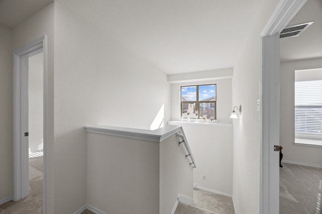 staircase with carpet flooring