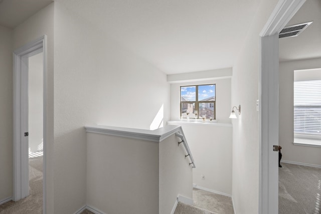 17106 Gibbons Path, Round Rock, TX 78664 - stairs featuring carpet and baseboards