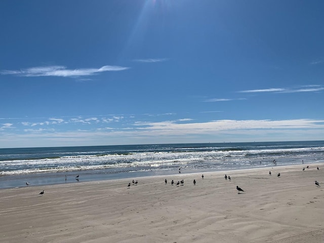 property view of water featuring a view of the beach