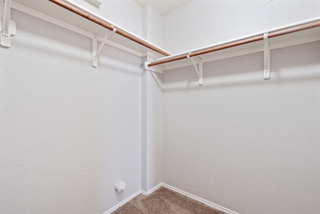 walk in closet with carpet floors