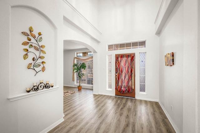 foyer featuring wood-type flooring