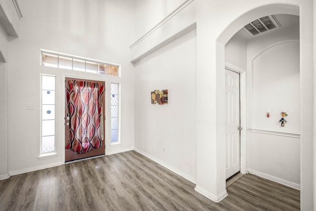 foyer with hardwood / wood-style flooring and a wealth of natural light